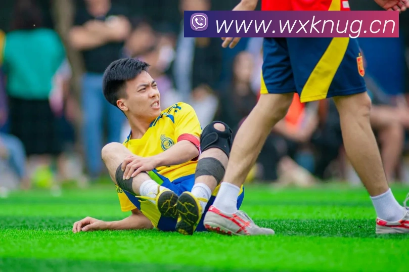 多媒体互动体验